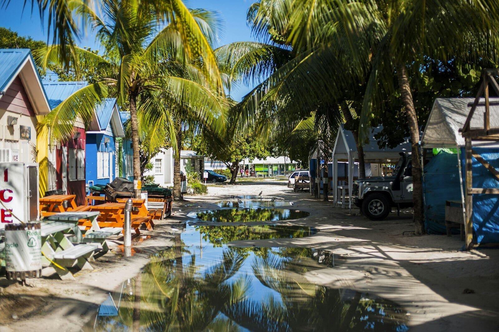Colourful wooden stalls and picnic tables in the shade of coconut palms on a sandy lane in Barbados